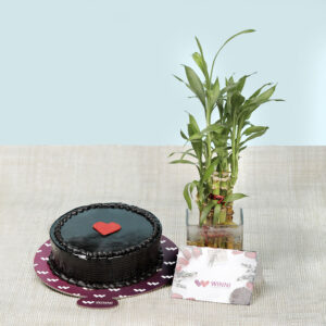 Chocolate Cake And Bamboo