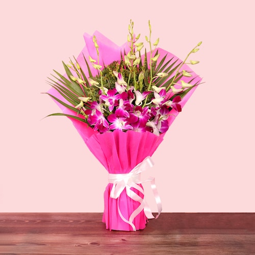 premium purple orchid