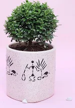 White Potted Table Kamini